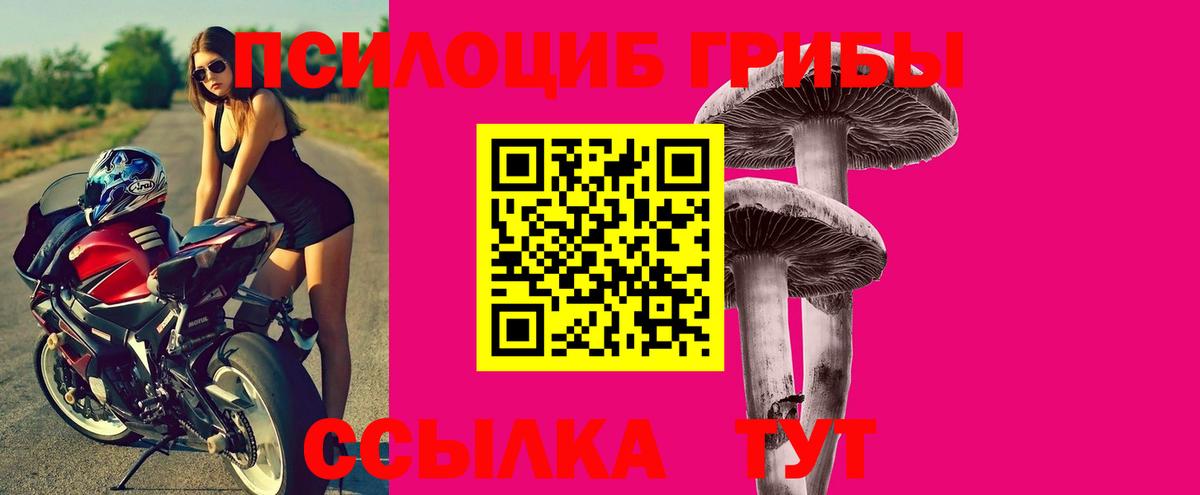 Alpha-PVP Гатчина