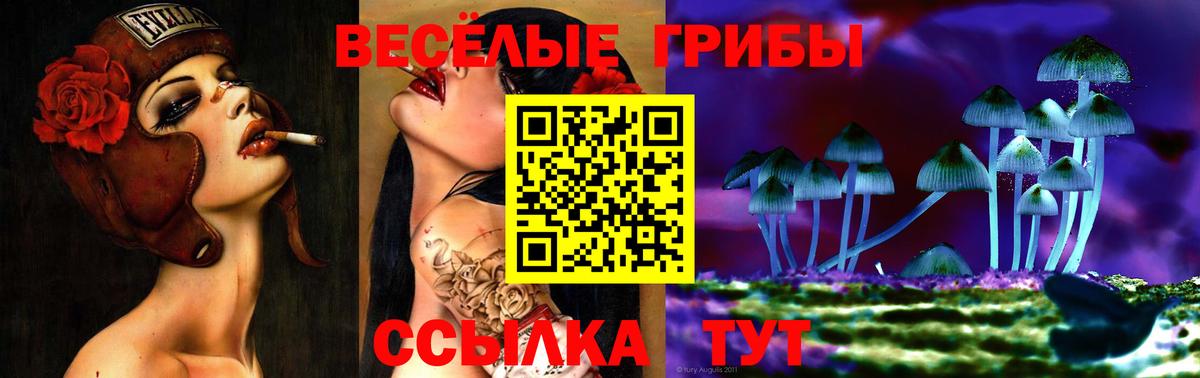 Псилоцибиновые грибы GOLDEN TEACHER  Вход с VPN  где продают   Псилоцибиновые грибы GOLDEN TEACHER  Гатчина 