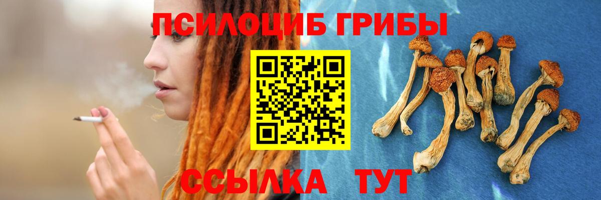 Псилоцибиновые грибы GOLDEN TEACHER Гатчина